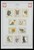 Kavel 1421 (146)