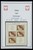Kavel 1421 (231)