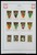 Kavel 1421 (291)