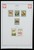 Kavel 1421 (313)