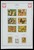 Kavel 1421 (315)