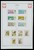 Kavel 1421 (343)