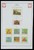 Kavel 1421 (362)