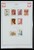 Kavel 1421 (369)
