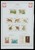 Kavel 1421 (375)