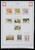 Kavel 1421 (377)