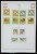 Kavel 1421 (472)