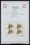 Kavel 1421 (480)
