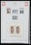 Kavel 1421 (538)