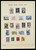 Lot 1455 (8)