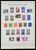 Lot 1455 (13)