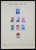 Lot 1455 (21)