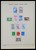 Lot 1455 (22)