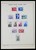 Lot 1455 (28)