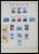 Lot 1455 (29)