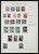 Kavel 1004 (142)