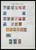 Kavel 1004 (224)