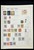 Kavel 1004 (686)