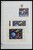 Lot 1442 (86)