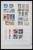 Lot 1442 (97)