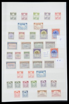 Lot 1450