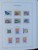 Kavel 1313 (275)