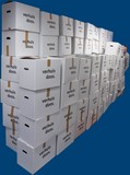 Kavel 604