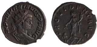 Lot 101