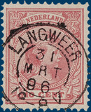 Kavel 1555