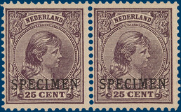 Lot 3182