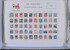 Kavel 647 (98)