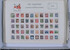 Kavel 647 (105)