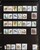 Kavel 2302 (1365)