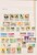 Kavel 2304 (334)