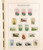 Kavel 2341 (10)