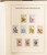 Kavel 2341 (71)