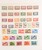 Kavel 2393 (8)