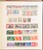 Lot 2419 (12)