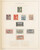 Lot 2428 (10)