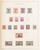 Lot 2428 (17)