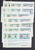 Lot 2447 (15)