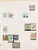 Kavel 2448 (11)