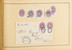 Kavel 2461 (190)