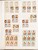 Kavel 2478 (26)
