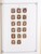 Kavel 2482 (22)