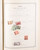 Kavel 2482 (196)