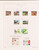 Kavel 2543 (263)