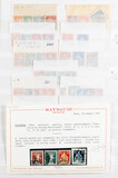Kavel 2565