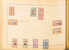 Kavel 2008 (97)