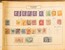 Kavel 2019 (11)